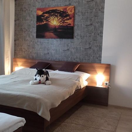 Loučná nad Desnou Apartmany Rysi Skala מראה חיצוני תמונה