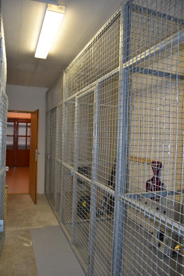 Loučná nad Desnou Apartmany Rysi Skala מראה חיצוני תמונה