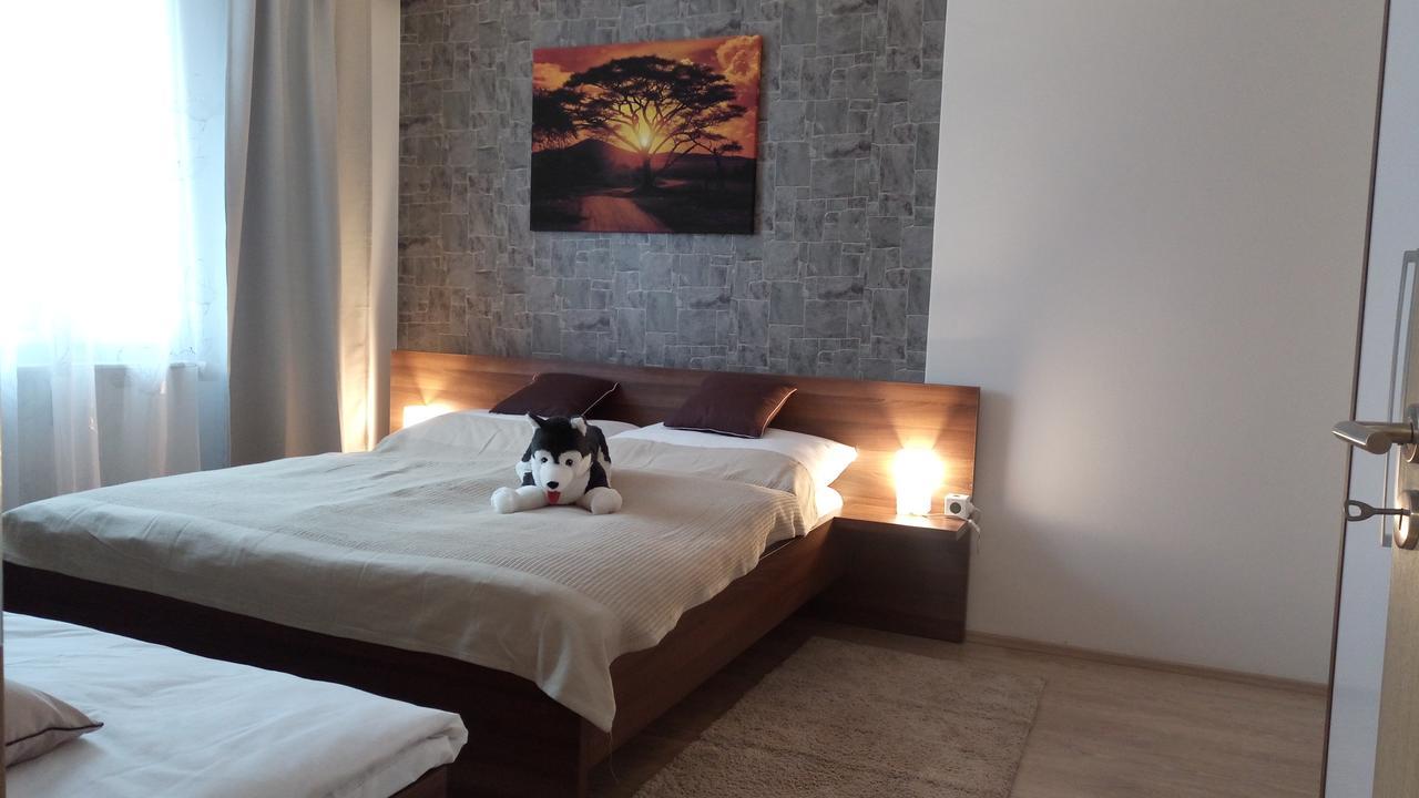 Loučná nad Desnou Apartmany Rysi Skala מראה חיצוני תמונה